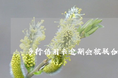 多行信用卡逾期会被联合起诉吗