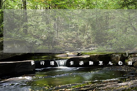 多行信用卡逾期怎么自救 多行信用卡逾期怎么自救