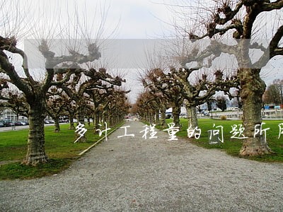 多计工程量的问题所用法规