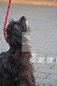 多谢律师回答 多谢律师回答