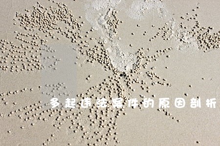 多起违法案件的原因剖析 多起违法案件的原因剖析