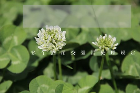 多车追尾交强险处理规定