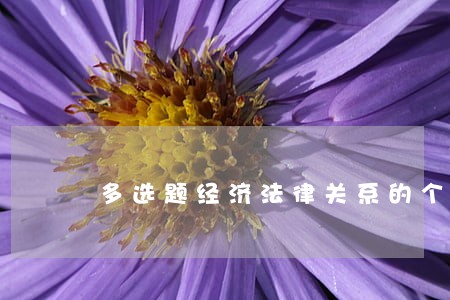 多选题经济法律关系的个体包括