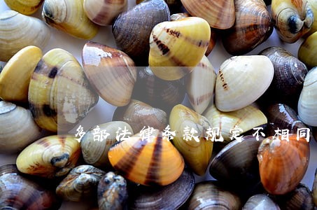 多部法律条款规定不相同怎么办 多部法律条款规定不相同怎么办