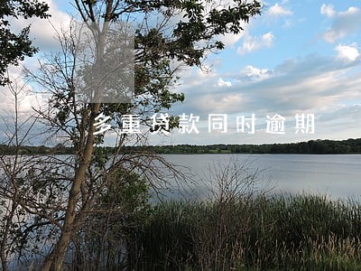 多重贷款同时逾期 多重贷款同时逾期