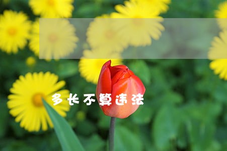 多长不算违法 多长不算违法