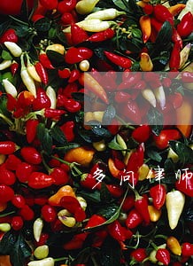 多问律师法律咨询频道 多问律师法律咨询频道