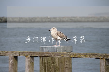 多问律师费计算器 多问律师费计算器