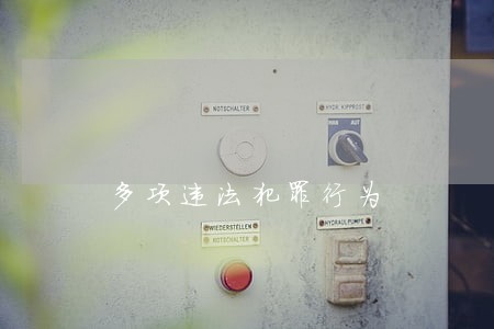 多项违法犯罪行为 多项违法犯罪行为