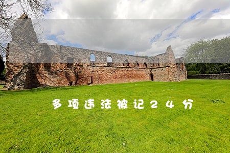 多项违法被记24分 多项违法被记24分