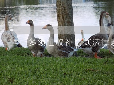 多领征收补偿款法律意见书