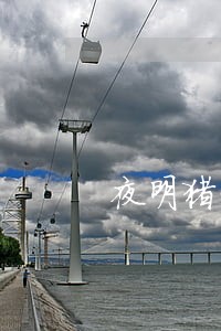 夜明猪贷款逾期 夜明猪贷款逾期