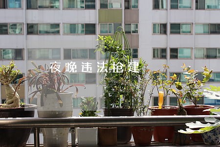 夜晚违法抢建 夜晚违法抢建