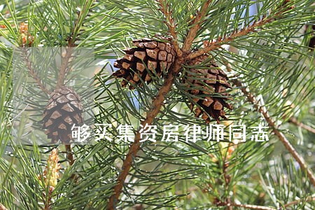 够买集资房律师同志