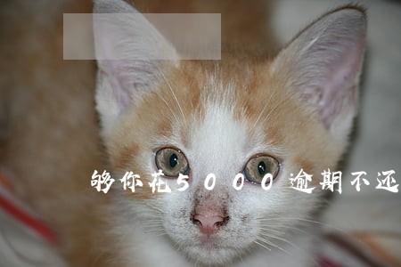 够你花5000逾期不还 够你花5000逾期不还