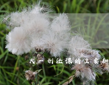 大一刑法课的主要知识点 大一刑法课的主要知识点