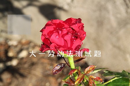 大一劳动法测试题 大一劳动法测试题