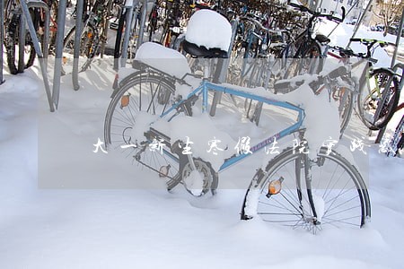 大一新生寒假法院实践感悟 大一新生寒假法院实践感悟
