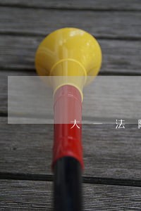 大一法院实习 大一法院实习