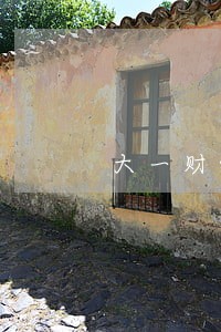 大一财经法规多选题