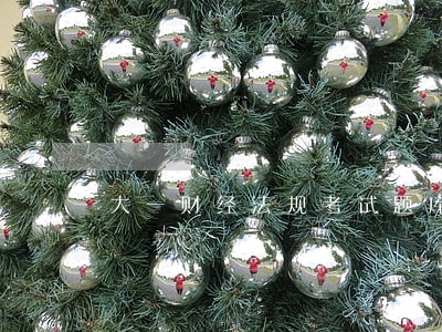 大一财经法规考试题库 大一财经法规考试题库