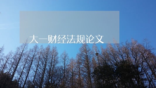 大一财经法规论文