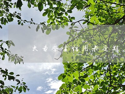 大专学生信用卡逾期 大专学生信用卡逾期