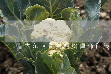 大东区债务纠纷律师在线咨询 大东区债务纠纷律师在线咨询