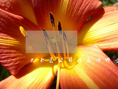 大东区公司债务律师咨询电话 大东区公司债务律师咨询电话