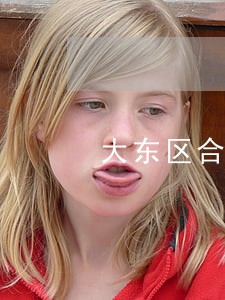 大东区合同案子律师收标准