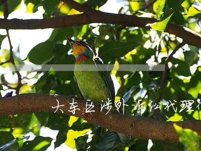 大东区涉外诉讼代理律师 大东区涉外诉讼代理律师