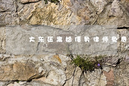 大东区离婚债务律师免费咨询 大东区离婚债务律师免费咨询