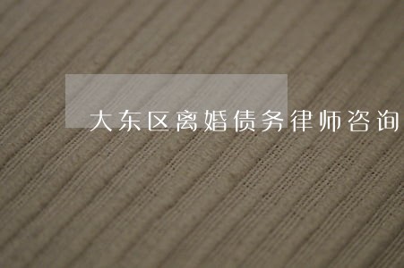 大东区离婚债务律师咨询免费 大东区离婚债务律师咨询免费