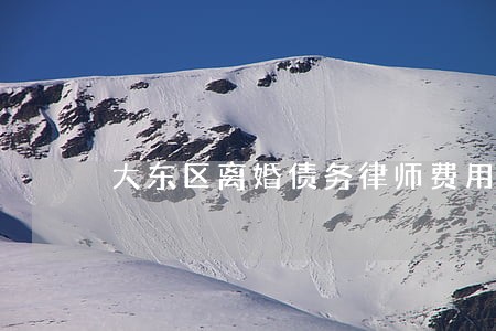 大东区离婚债务律师费用 大东区离婚债务律师费用