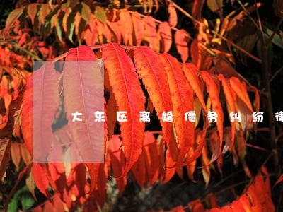 大东区离婚债务纠纷律师哪个好