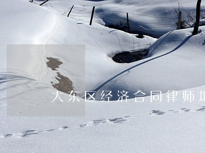 大东区经济合同律师地址 大东区经济合同律师地址