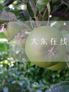 大东在线律师咨询比较好 大东在线律师咨询比较好
