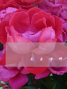 大东律师债务咨询 大东律师债务咨询