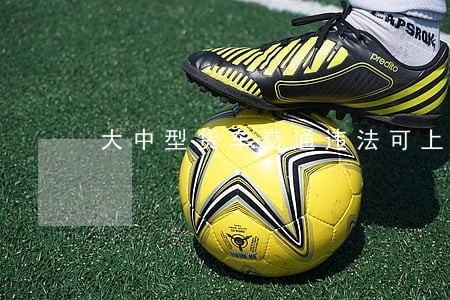 大中型货车交通违法可上网处理