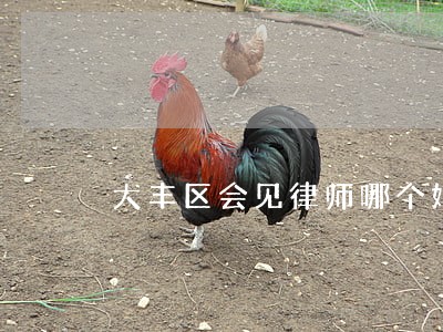 大丰区会见律师哪个好诚信为本 大丰区会见律师哪个好诚信为本