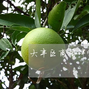 大丰区离婚律师咨询费用 大丰区离婚律师咨询费用