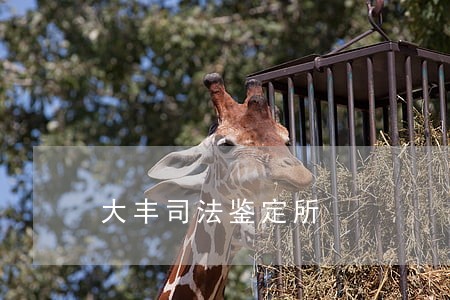 大丰司法鉴定所 大丰司法鉴定所