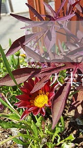 大丰律师免费法律咨询 大丰律师免费法律咨询