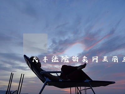 大丰法院拍卖网王丽兰