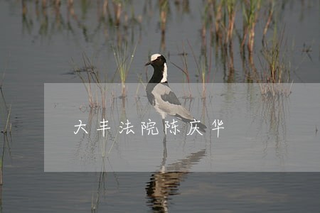 大丰法院陈庆华 大丰法院陈庆华