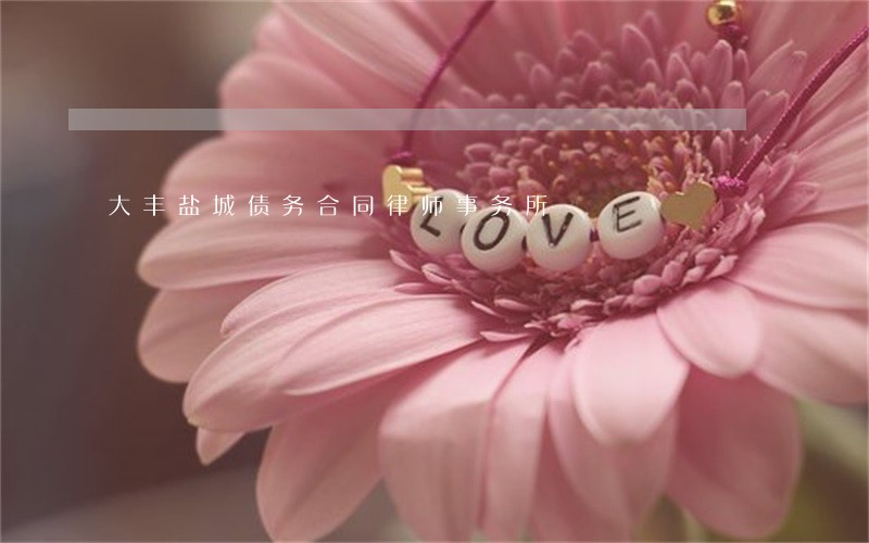 大丰盐城债务合同律师事务所 大丰盐城债务合同律师事务所
