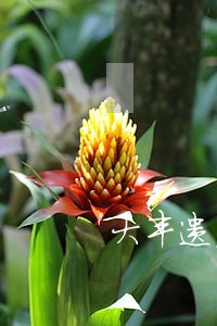 大丰遗产律师 大丰遗产律师