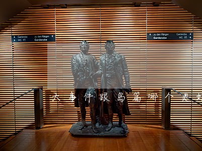 大事件跟岛篇哪个更好看 大事件跟岛篇哪个更好看