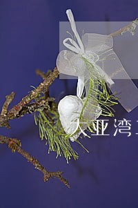 大亚湾二手房 大亚湾二手房