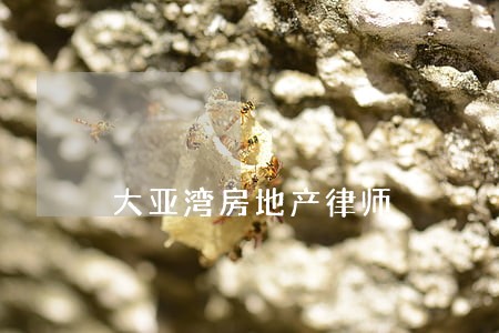 大亚湾房地产律师 大亚湾房地产律师